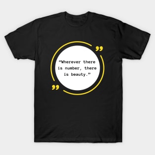 Beauty in Numbers T-Shirt